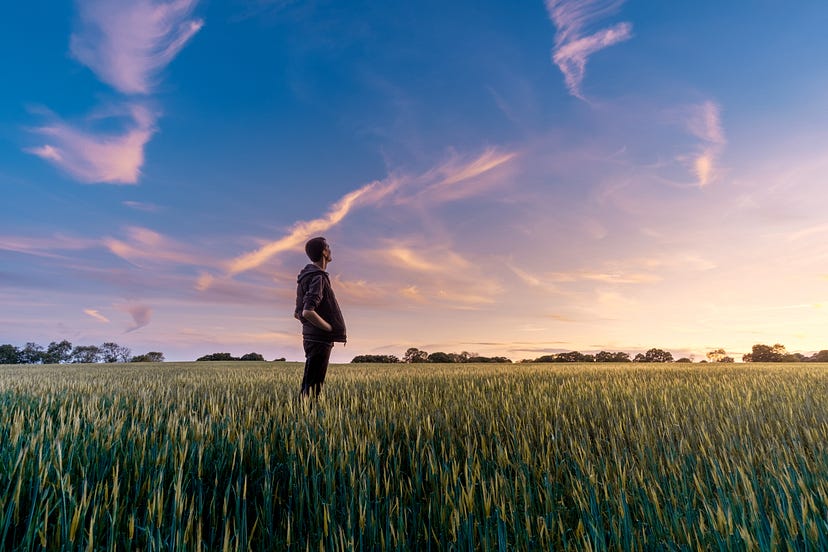 From Problems to Progress: A 5-Step Guide to Approaching Problems as a Software Developer